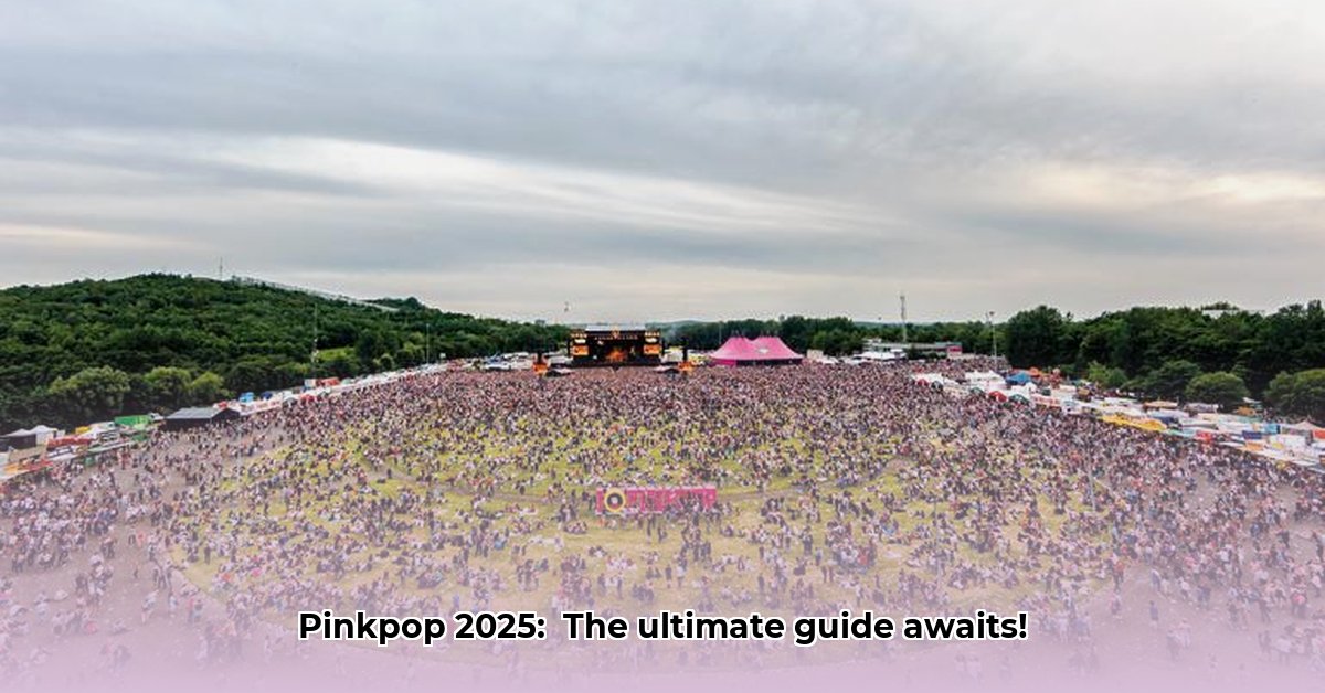 pinkpop-live-kijken
